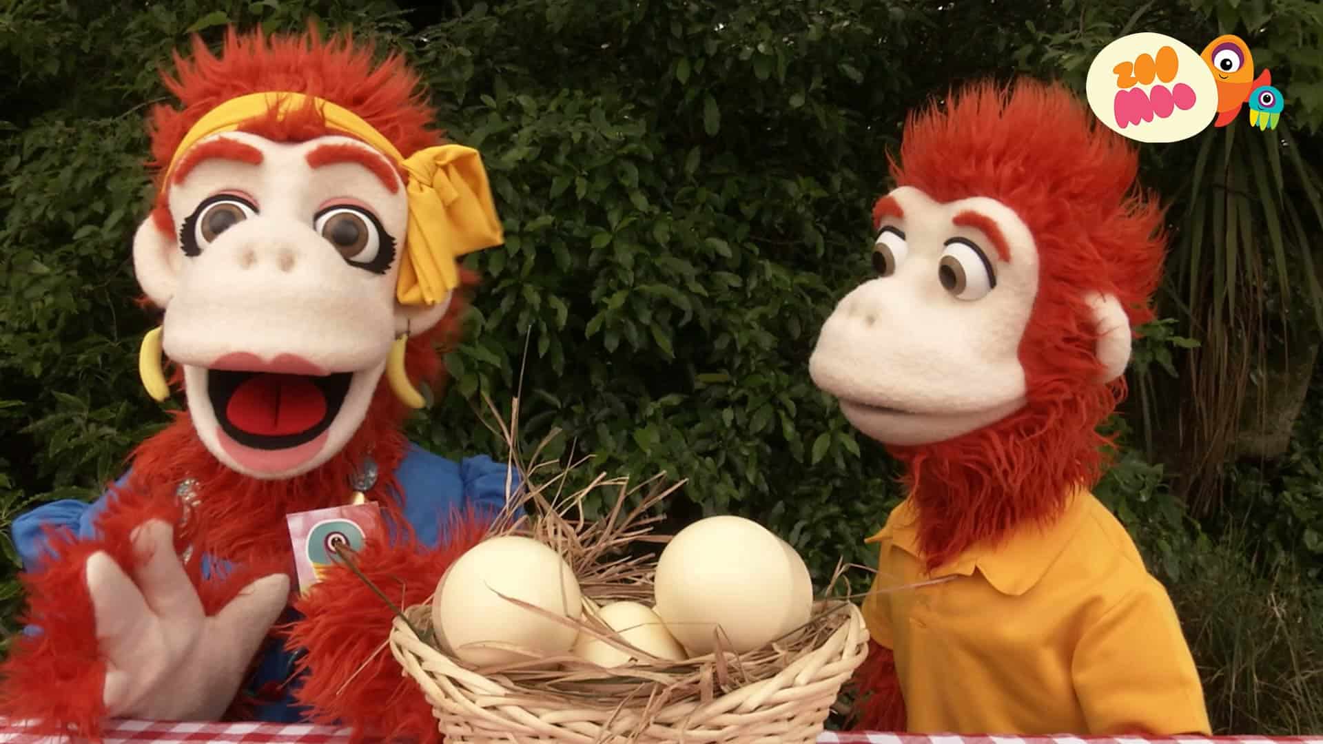 Zoomoo Great Egg Hunt